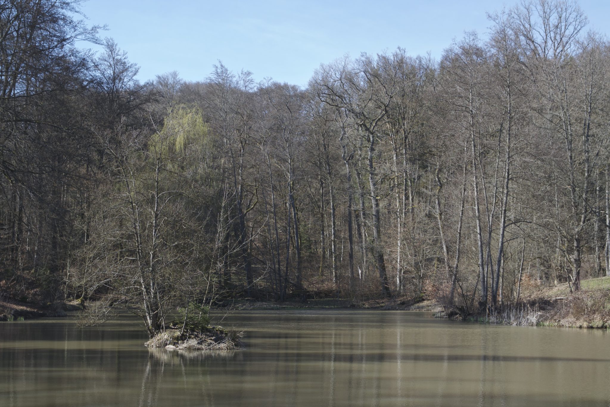 Naturpark Schönbuch hier und fort